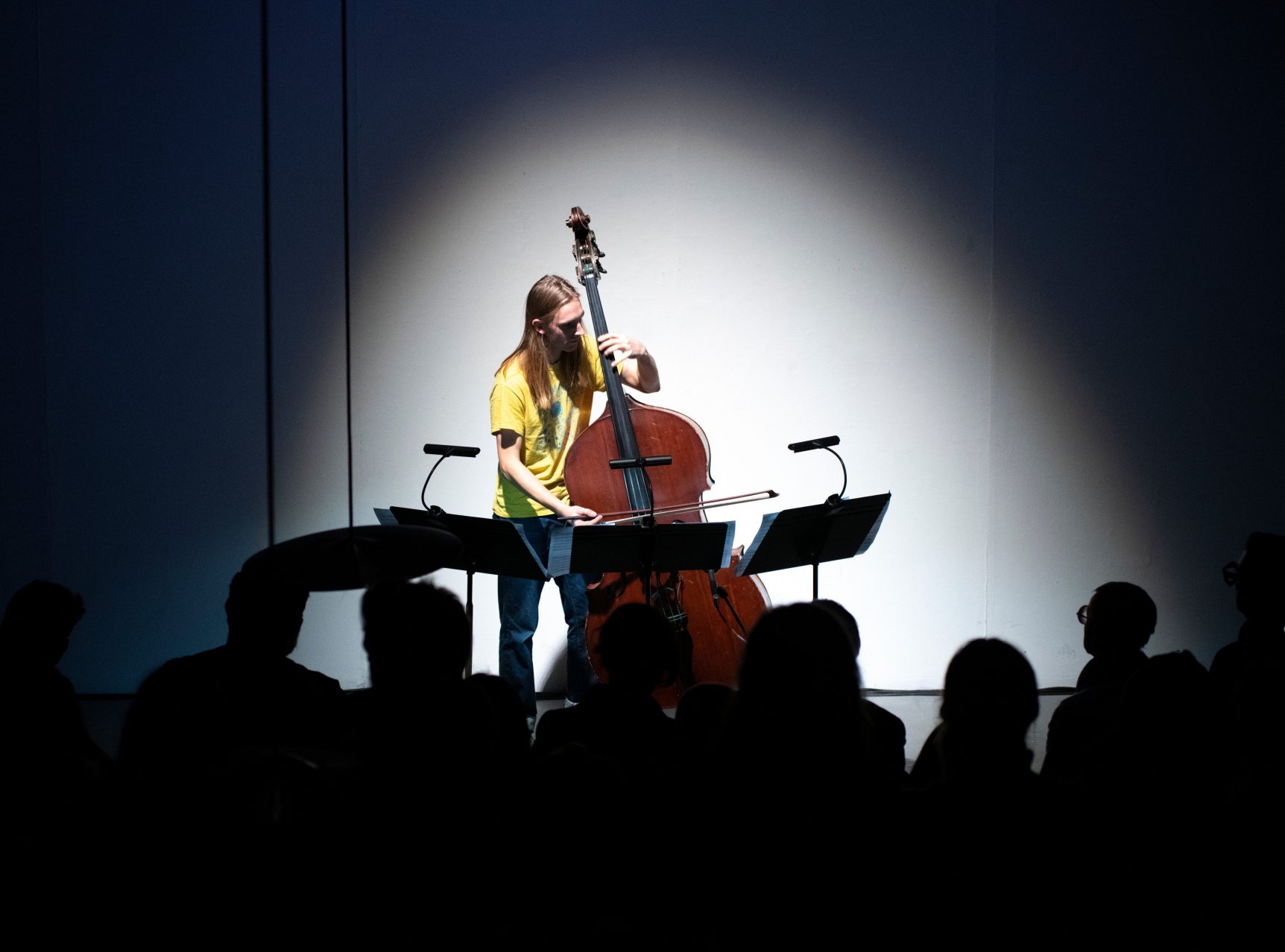 Otto playing bass under spotlight