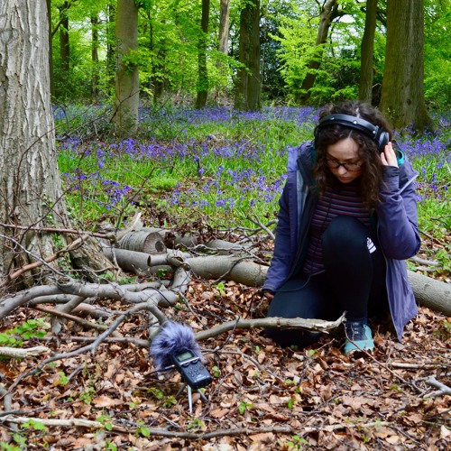 gwen sion field recording