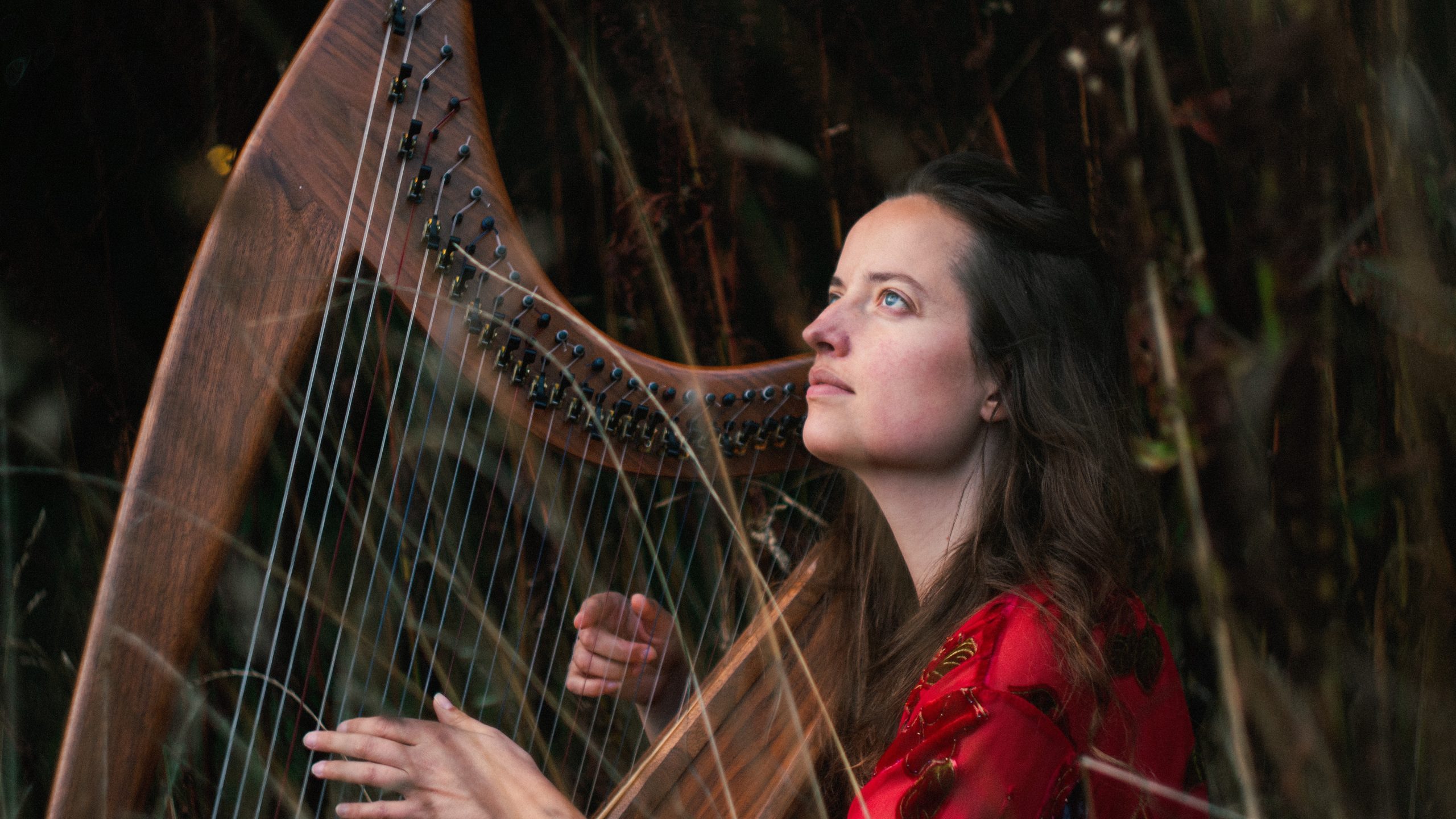 Georgie Buchanan plays the harp in a woodland environment