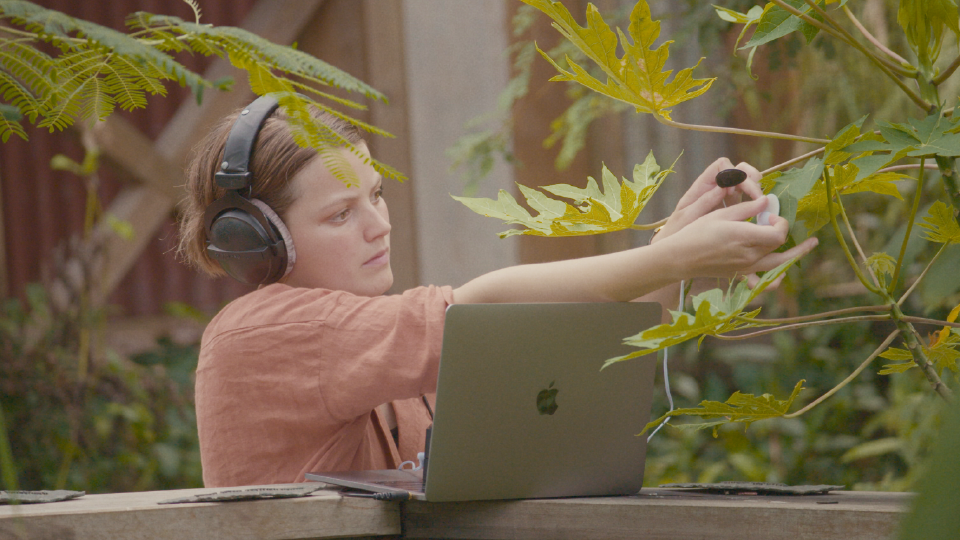 Composer Alice Boyd wearing headphones, holding a contact microphone against the leaf of a plant